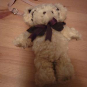 Baby the stars shine bright brown bear pochette